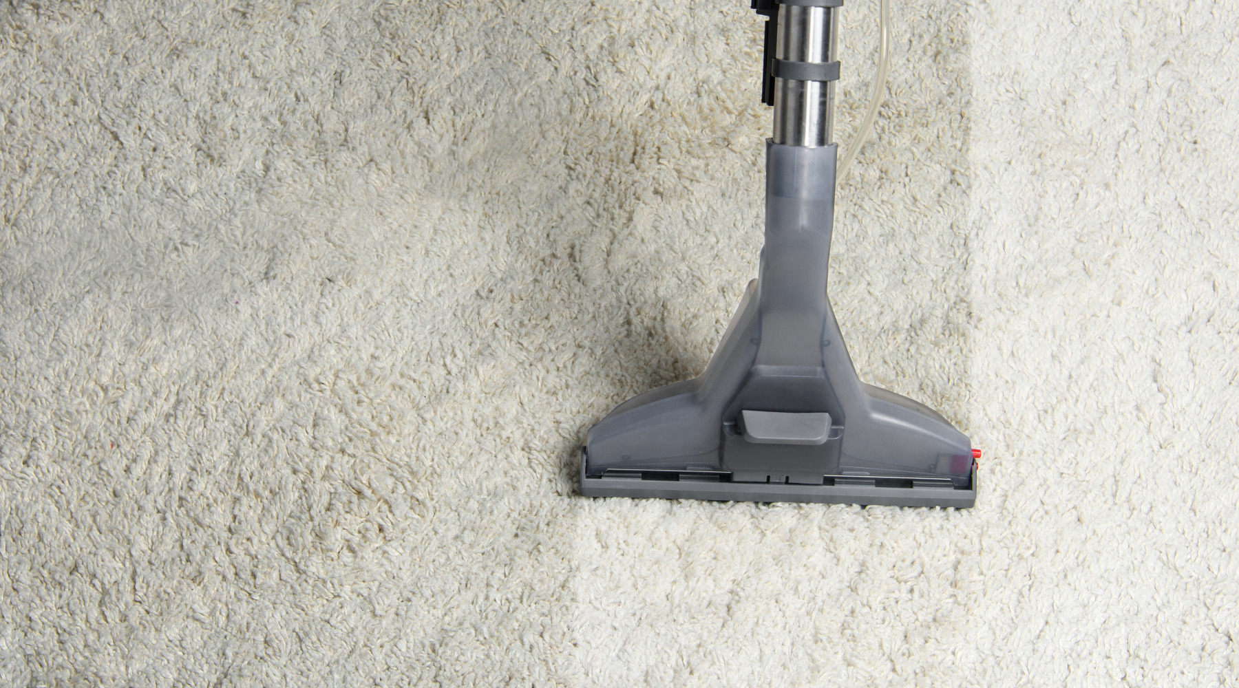 Carpet Cleaning Summerville, Charleston, Lowcountry SC